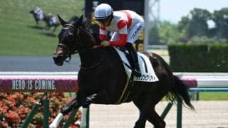 京都芝はキズナ産駒が好調 エルフィンSはダノンフェアレディを信頼