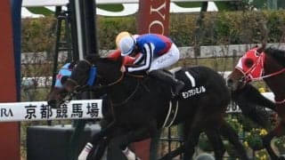 【今日の注目ポイント】代替開催の京都でアルデバランSとエルフィンS