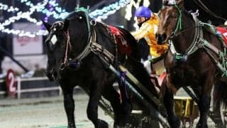 【ばんえい十勝・黒ユリ賞】ホクセイヒラリが大混戦から抜け出す…渡来「厩務員さんを見て勝ったと実感」