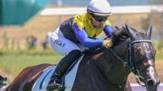 名牝ダンスパートナーのひ孫 エルフィンSで大舞台に弾み付ける勝利なるか