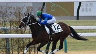 【京都4R新馬戦結果】ファッショニスタの半弟ポイントネモがデビューV