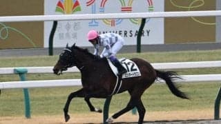 【京都3R】ドウデュース半弟のエンダードラゴンが馬なり6馬身差で初勝利