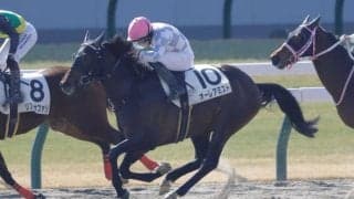 【京都2R】ゴールドドリーム産駒 オーレアミスト初勝利