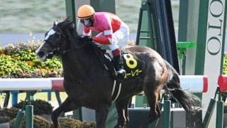 【エルフィンS結果】唯一の2勝馬ヴーレヴーが素質馬たちを完封！