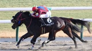 【アルデバランS】ブライアンセンスがオープン初勝利