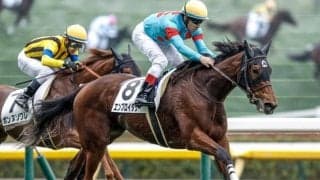 【クイーンC】エンブロイダリー、マディソンガールらが登録