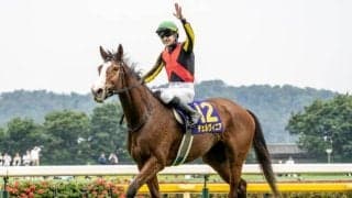 【京都記念】チェルヴィニア、ソールオリエンスらが登録