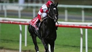 ロージズインメイが種牡馬引退 主な産駒にJpnI馬ドリームバレンチノなど