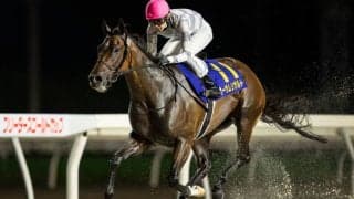 【クイーン賞】武豊騎乗の無敗馬オーサムリザルトは7枠7番へ