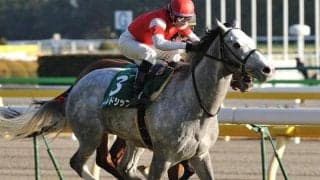 ゴールドシップがパイオニア!? 共同通信杯から直行で皐月賞を制した馬たち