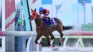 サウジカップの馬券発売…フォーエバーヤングなど日本馬が出走予定