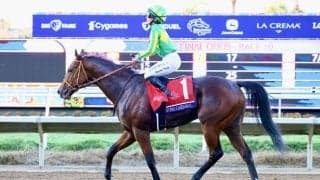 【共同通信杯登録馬】サトノカルナバルなど11頭