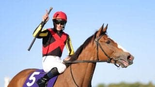 【京都記念登録馬】チェルヴィニアなど13頭