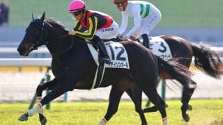 【クイーンカップ登録馬】マディソンガールなど14頭