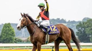 【京都記念想定騎手】チェルヴィニアはC.ルメール騎手、ソールオリエンスは川田将雅騎手