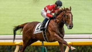 【共同通信杯想定騎手】レッドキングリーは北村宏司騎手、ネブラディスクは武豊騎手