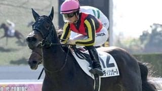 【クイーンC想定騎手】マディソンガールは川田将雅騎手、ショウナンザナドゥは池添謙一騎手