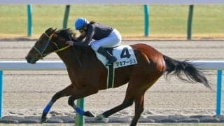 【京都8R】小林美駒騎手がマキアージュで逃げ切りV