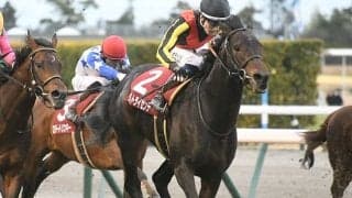 【先週のJRA抹消馬】重賞2勝のヴェルトライゼンデ、良血馬エスコーラなど