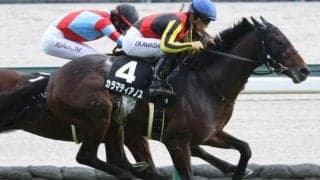 父レイデオロに初タイトルを届けるか こうやまき賞快勝の期待馬が共同通信杯に参戦