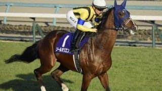 2年前の皐月賞馬が京都記念へ 川田騎手と再コンビで復活Vなるか