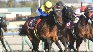 【AI予想・京都記念】前走のレース格や所属に明確な傾向あり！ 人工知能がGI馬よりも高い評価を与えた本命候補とは