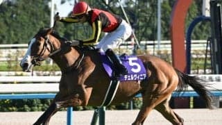 【京都記念予想オッズ】チェルヴィニアが予想1番人気