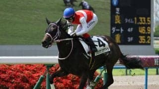 【クイーンC予想オッズ】ショウナンザナドゥが予想1番人気