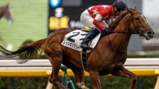 【共同通信杯予想オッズ】レッドキングリーが予想1番人気