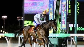 【クイーン賞】無傷の8連勝！オーサムリザルトが今年初戦を快勝