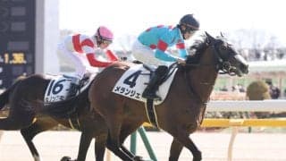 【新馬/東京5R】スワーヴリチャード産駒 メランジェがデビューV