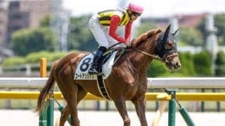 【クイーンC展望】実績上位のコートアリシアンが巻き返す