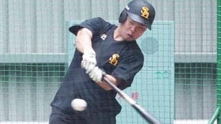 3割打者激減…強まる投高打低「進化していない」　野手に欠如する“受け身練習”