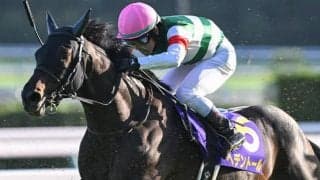 【ダイヤモンドS想定】ヘデントール、ワープスピードなど20頭