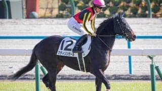 【クイーンC】ノーザンファームの10連覇なるか 三冠牝馬の半妹など精鋭4頭を送り込む