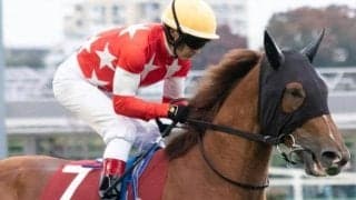 サートゥルナーリア産駒重賞初Vへ 東スポ杯2歳S3着の注目馬が共同通信杯に参戦