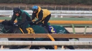 アーテルアストレアなど、フェブラリーS1週前追い切り速報/栗東トレセンニュース