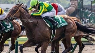 世代最初のJRA重賞V挙げた快足馬 今後を占う重要な一戦・共同通信杯にR.キング騎手と挑む