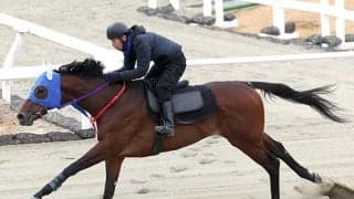 サウジ遠征決定には“同い年のライバル・レモンポップ“の存在 イグナイターが国内最終追い切り