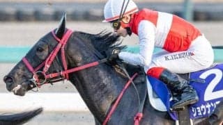 イクイノックスのいとこが飛躍の第一歩へ 2戦2勝の東京で共同通信杯V狙う