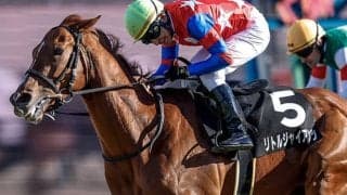 “皇帝”や“昭和30年代の名種牡馬”の名も 共同通信杯参戦のリトルジャイアンツは血統にもご注目