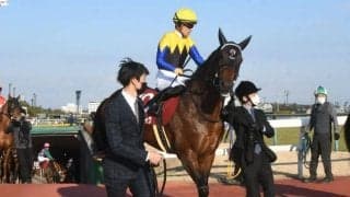 【京都記念予想】近年は牝馬や関東馬が不振 AIが推奨したのは関西の実力馬