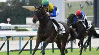【共同通信杯展望】新馬戦を好内容で勝った良血馬ネブラディスクの連勝を期待
