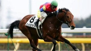 快挙からきょうで20年 高校生が生産した馬が中央競馬で初勝利した日