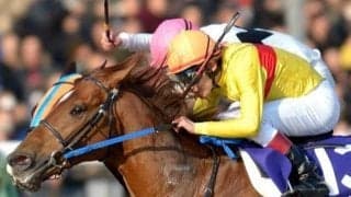 コパノリッキーが史上3頭目 最低人気で平地GIを制した馬たち