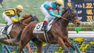 近親には活躍馬ズラリの良血 クイーンCでアドマイヤマーズ産駒初の重賞V狙う