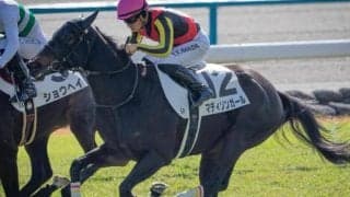 姉妹クラシック制覇の夢へ リバティアイランドの半妹がクイーンCで重賞初V狙う