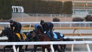 ミッキーヌチバナ、かきつばた記念追い切り速報/栗東トレセンニュース