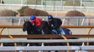 ダノンヴェステル、3歳1勝クラス1週前追い切り速報/栗東トレセンニュース