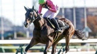 【小倉JS出走馬・騎手確定】アサクサゲンキ＆小牧加矢太騎手、スマイルスルー＆高田潤騎手など14頭